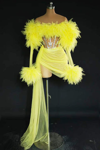 Dramatic Feathered and Embellished Illusion Dress