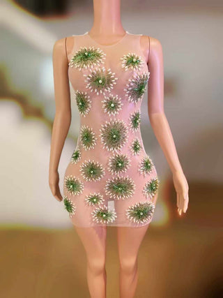 Sheer Floral Embellished Mini Dress with 3D Appliques