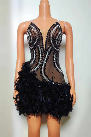 Sheer Black Embellished Mini Dress with Feathered Skirt