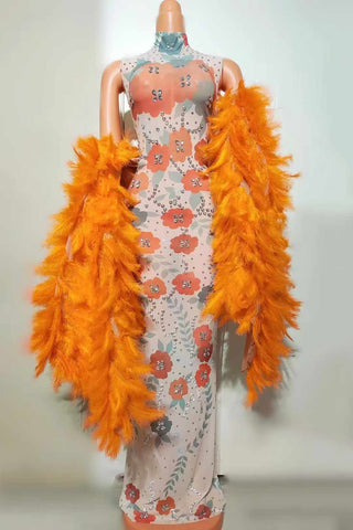 Floral Print Sheer Gown with Crystal Embellishments and Vibrant Feathered Shawl