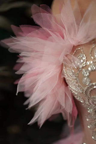 Enchanting Pink Ruffled Gown with Embellished Bodice and Feather Accents