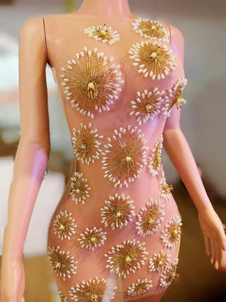 Sheer Floral Embellished Mini Dress with 3D Appliques