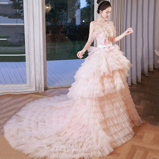 Luxury Court Train Evening Dress with Feather Details