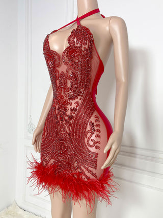 Ships in 1 to 3 Days - Exquisite Scarlet Beaded Illusion Mini Dress