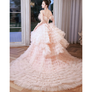 Luxury Court Train Evening Dress with Feather Details