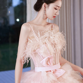 Luxury Court Train Evening Dress with Feather Details