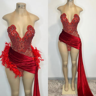 Lavish Feather-Embellished Velvet Train Gown