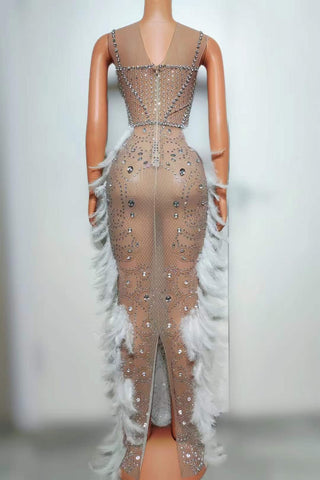 Elegant Sheer Illusion Gown with Feather Details and Crystal Embellishments