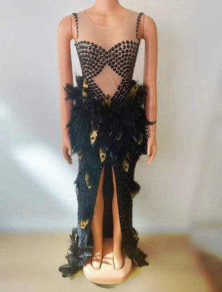 Black Feather Embellished Gown with Beaded Bodice and Sheer Insets