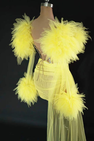 Dramatic Feathered and Embellished Illusion Dress