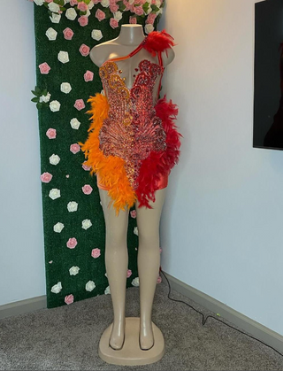 Fiery Feather-Embellished Red and Orange Beaded One-Shoulder Dress