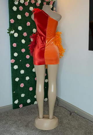 Fiery Feather-Embellished Red and Orange Beaded One-Shoulder Dress