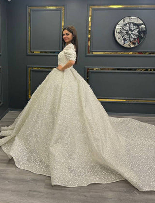 Majestic Beaded Illusion Neckline Ball Gown with Embellished Sleeves