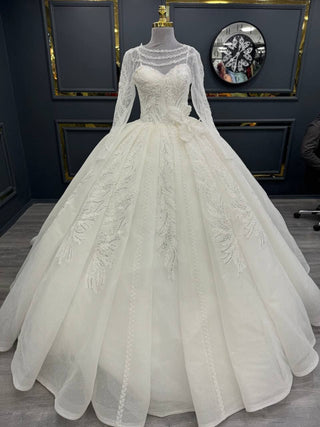 Opulent Illusion Lace Ball Gown with Delicate Beading and Elegant Long Sleeves with Small Knot