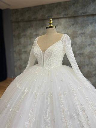 Grand Ball Gown with Intricate Appliques, Long Sheer Sleeves, and Deep V-Neckline