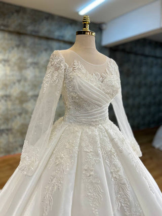 Opulent Regal Princess Wedding Gown with Sheer Illusion Sleeves and Exquisite Lace Appliques