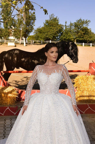 Long-Sleeve Beaded Wedding Gown with Sheer Illusion Bodice and Full Skirt